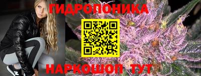apvp Славгород