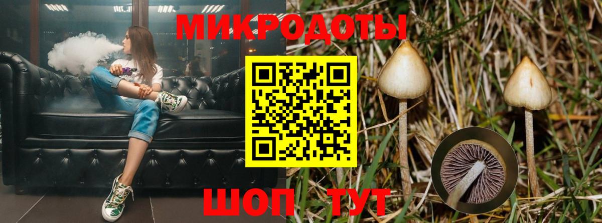Галлюциногенные грибы GOLDEN TEACHER  Вход с VPN  Старая Купавна 